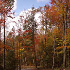 autumn-a-20041009-b-144x144.jpg