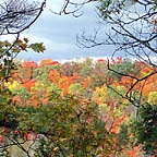 autumn-e-20041009-144x144.jpg