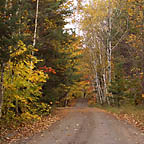 autumn-r-20041009-144x144.jpg