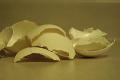 photo-egg-shells