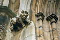 photo-stone-dog